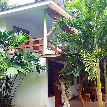 3 Bamboo Eco Lodge Cahuita Buitenkant foto