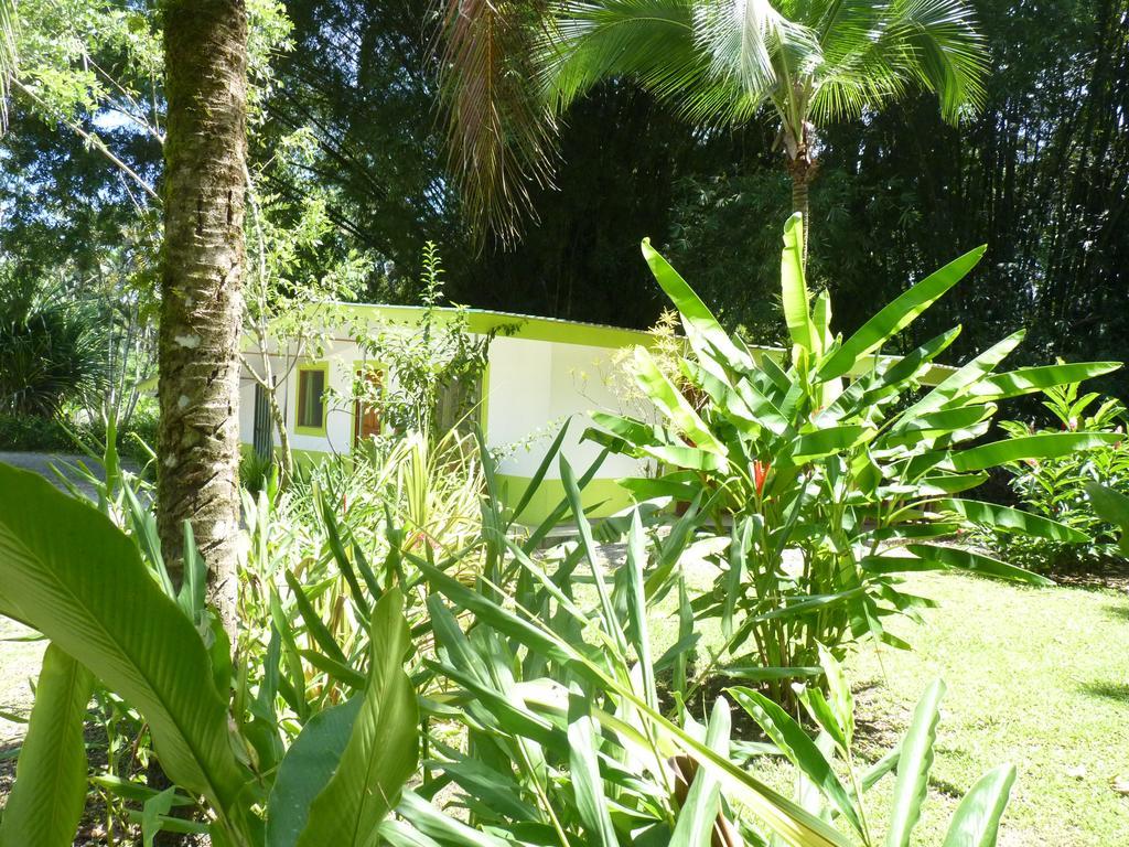 3 Bamboo Eco Lodge Cahuita Buitenkant foto