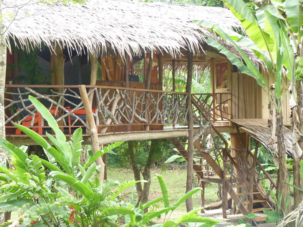 3 Bamboo Eco Lodge Cahuita Buitenkant foto