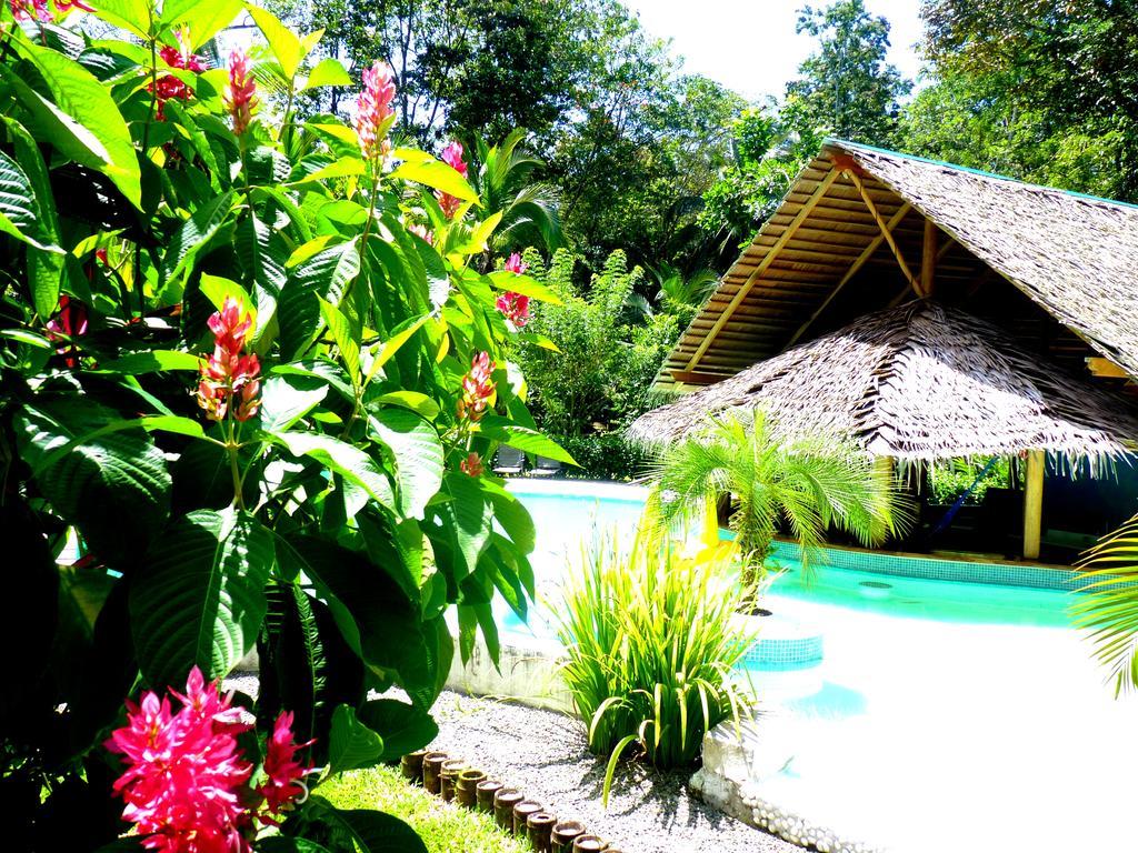 3 Bamboo Eco Lodge Cahuita Buitenkant foto