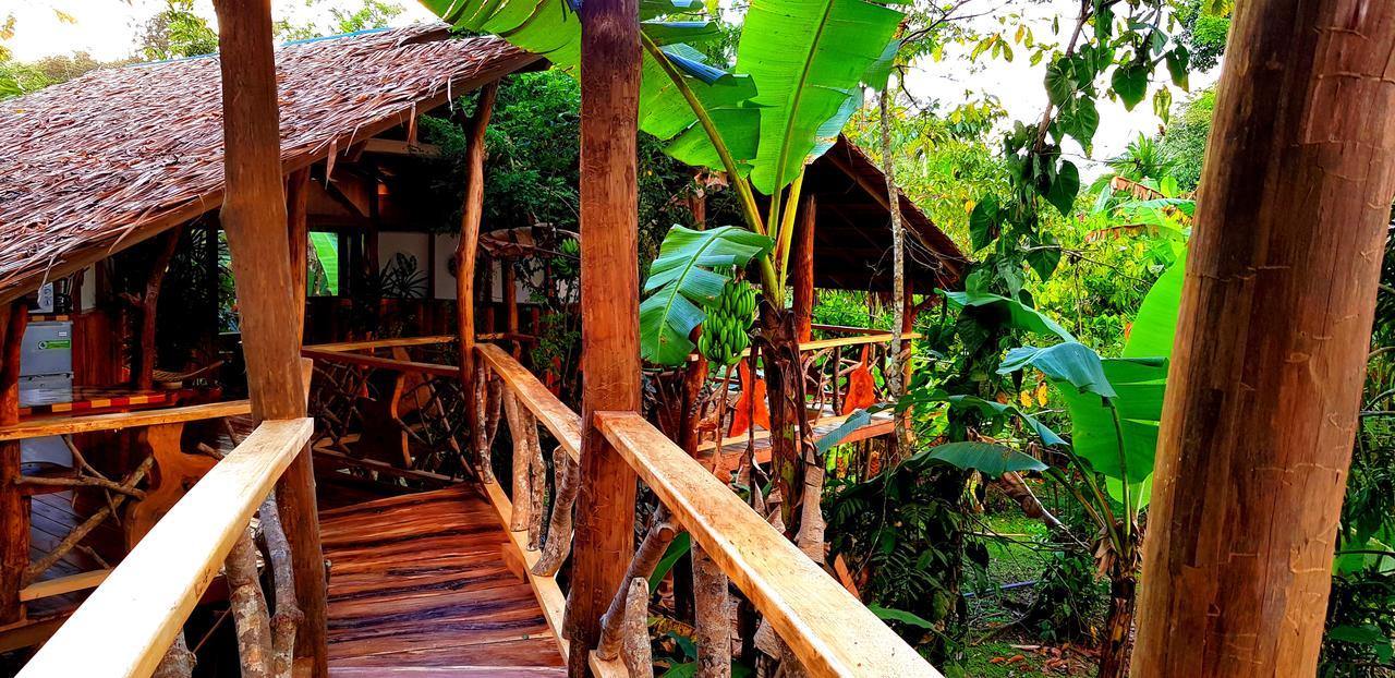 3 Bamboo Eco Lodge Cahuita Buitenkant foto