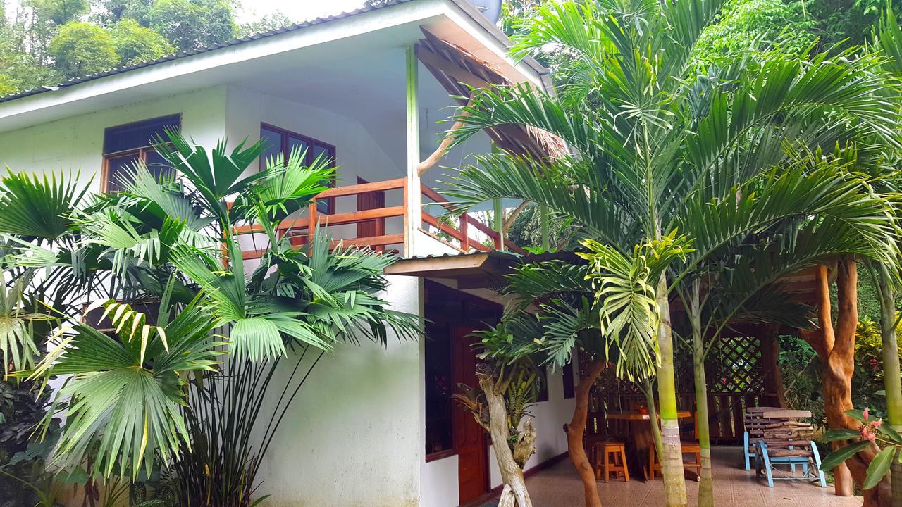 3 Bamboo Eco Lodge Cahuita Buitenkant foto