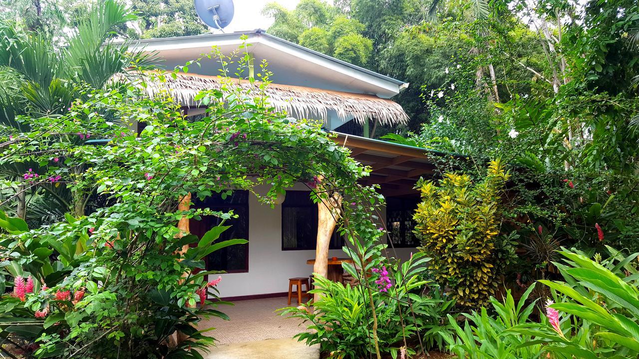 3 Bamboo Eco Lodge Cahuita Buitenkant foto