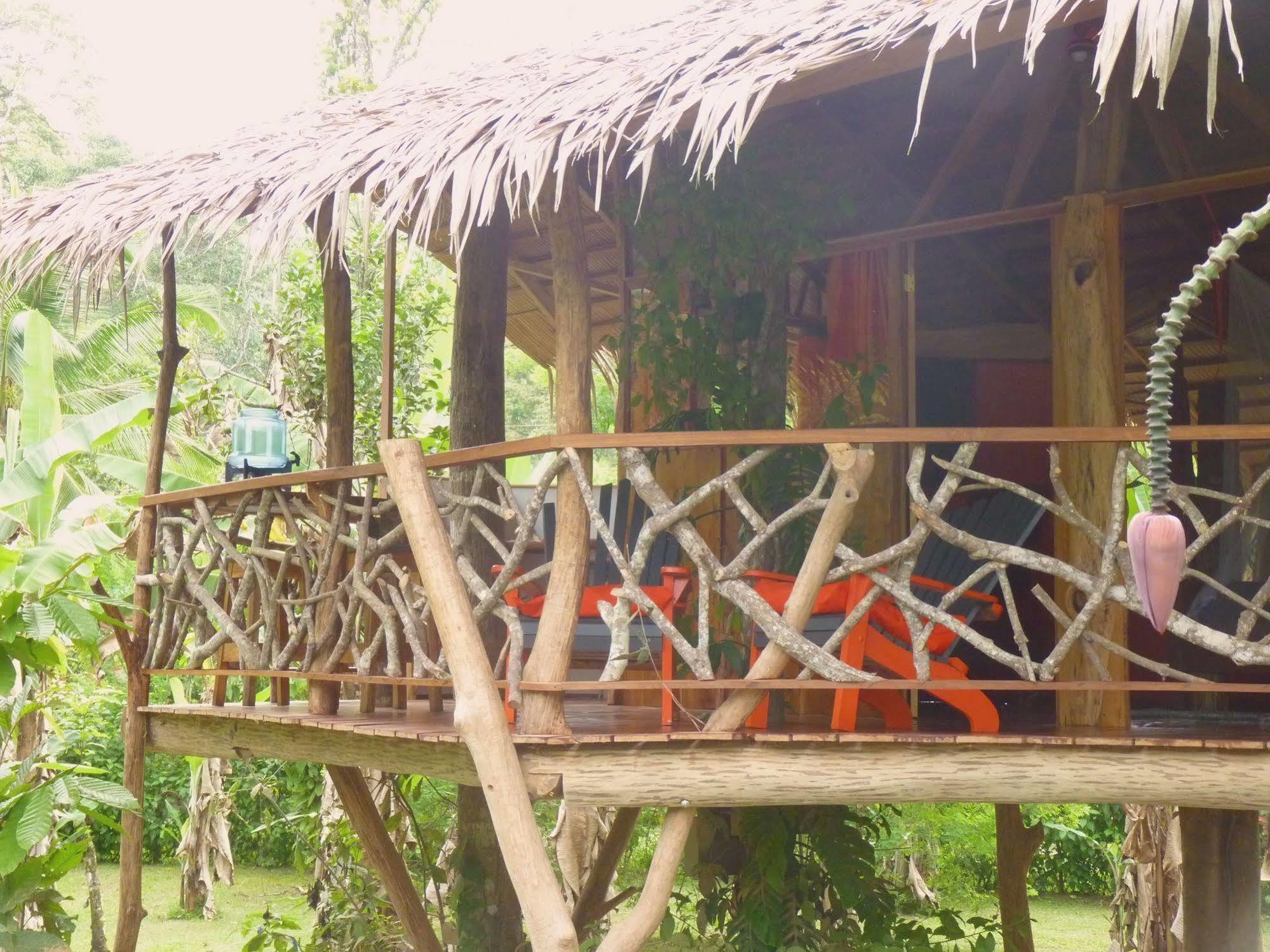 3 Bamboo Eco Lodge Cahuita Buitenkant foto