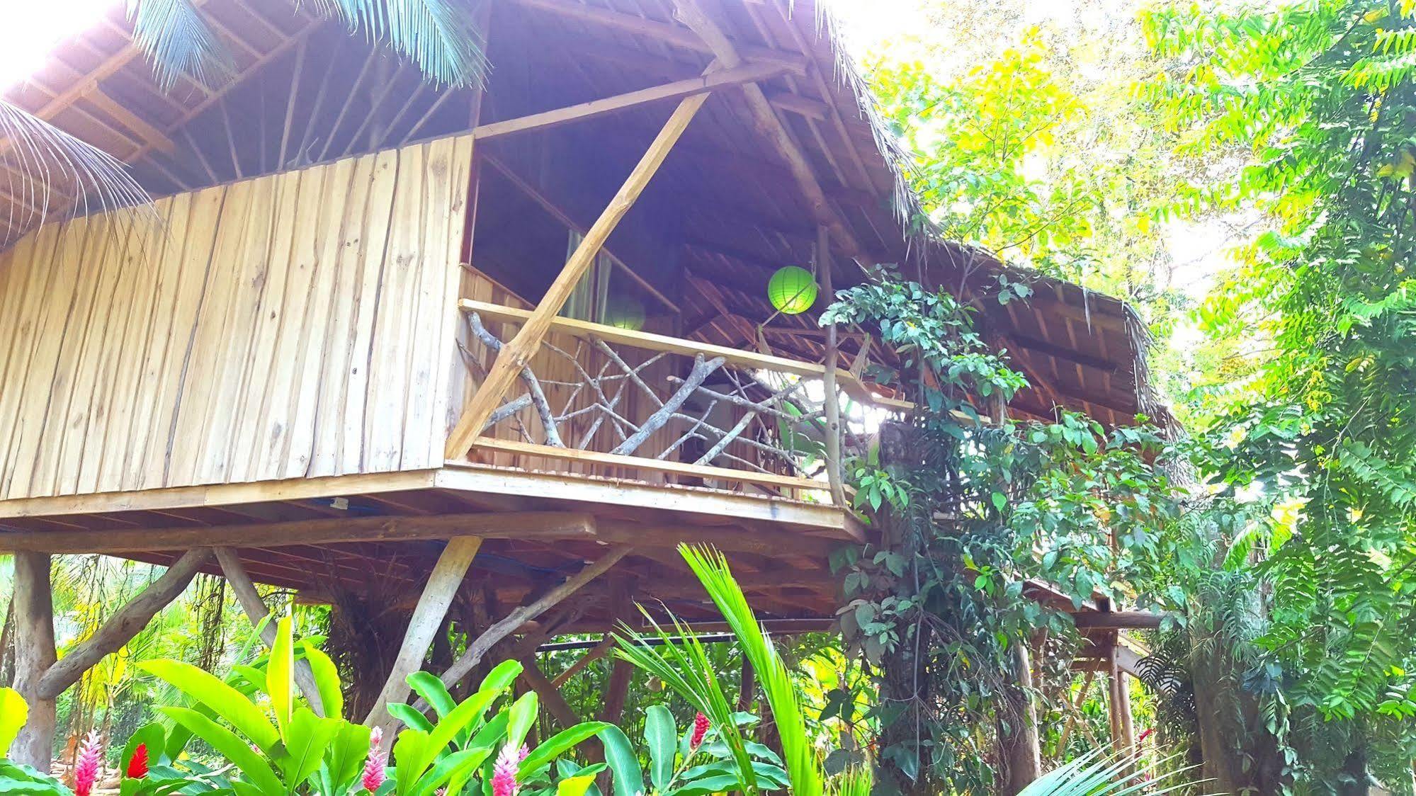 3 Bamboo Eco Lodge Cahuita Buitenkant foto