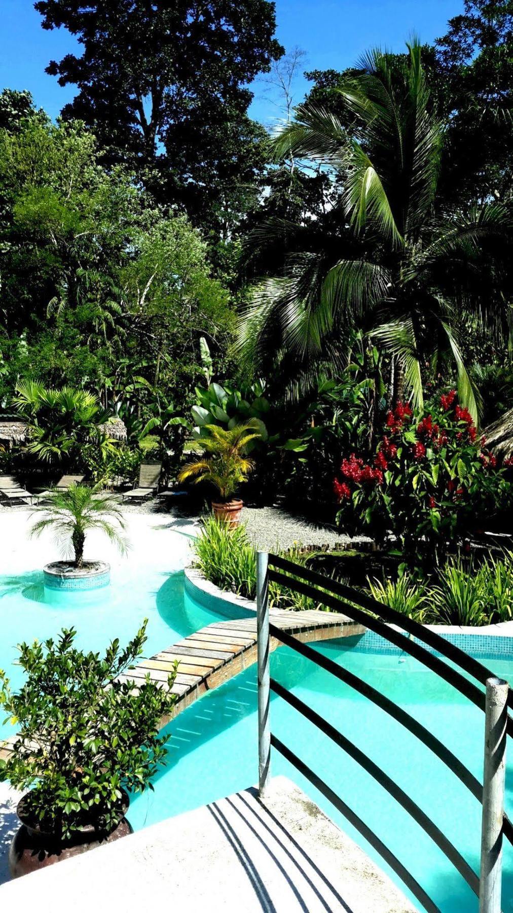 3 Bamboo Eco Lodge Cahuita Buitenkant foto