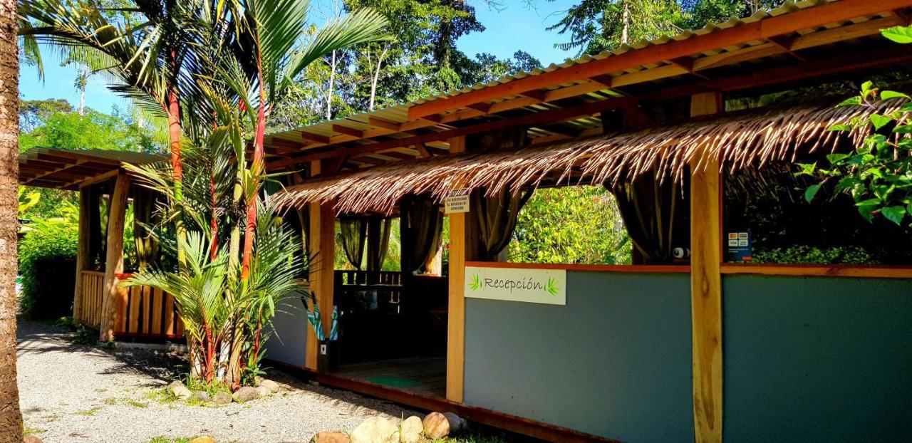 3 Bamboo Eco Lodge Cahuita Buitenkant foto